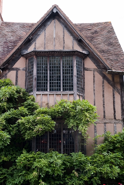 Ed -L1006936.jpg